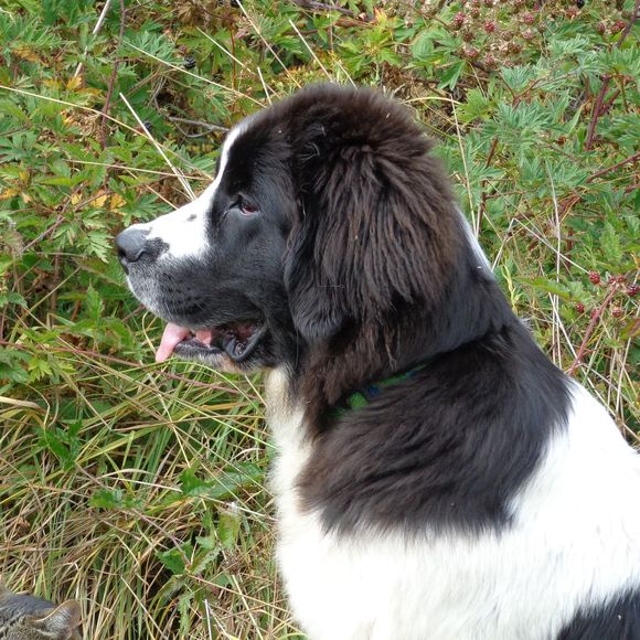 Meet your Posher, Leslie - Picture 1 of 1